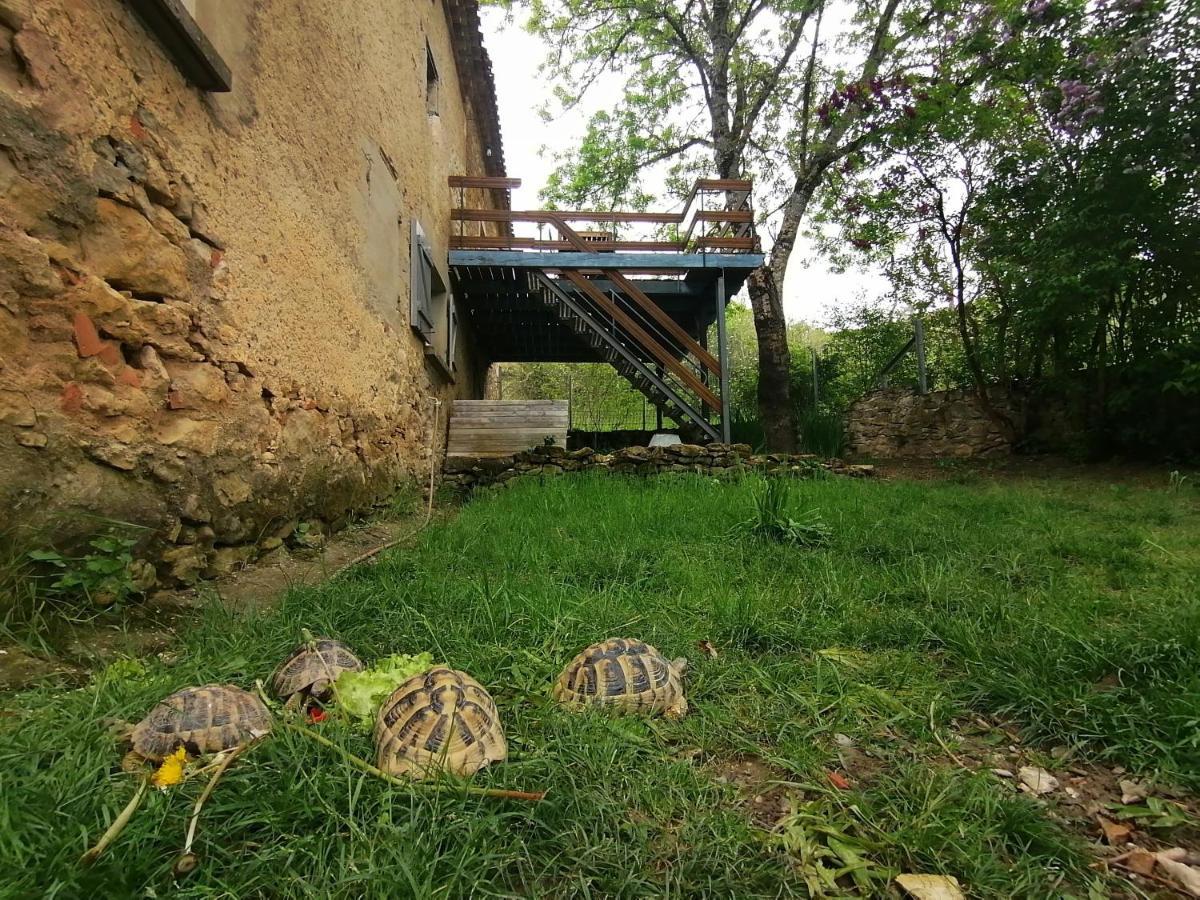 Gite Du Fassac Saint-Julien-du-Puy Exteriör bild